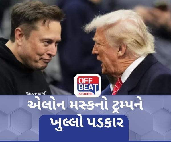 ...તો એલોન મસ્ક રાજકીય પક્ષ બનાવશે?